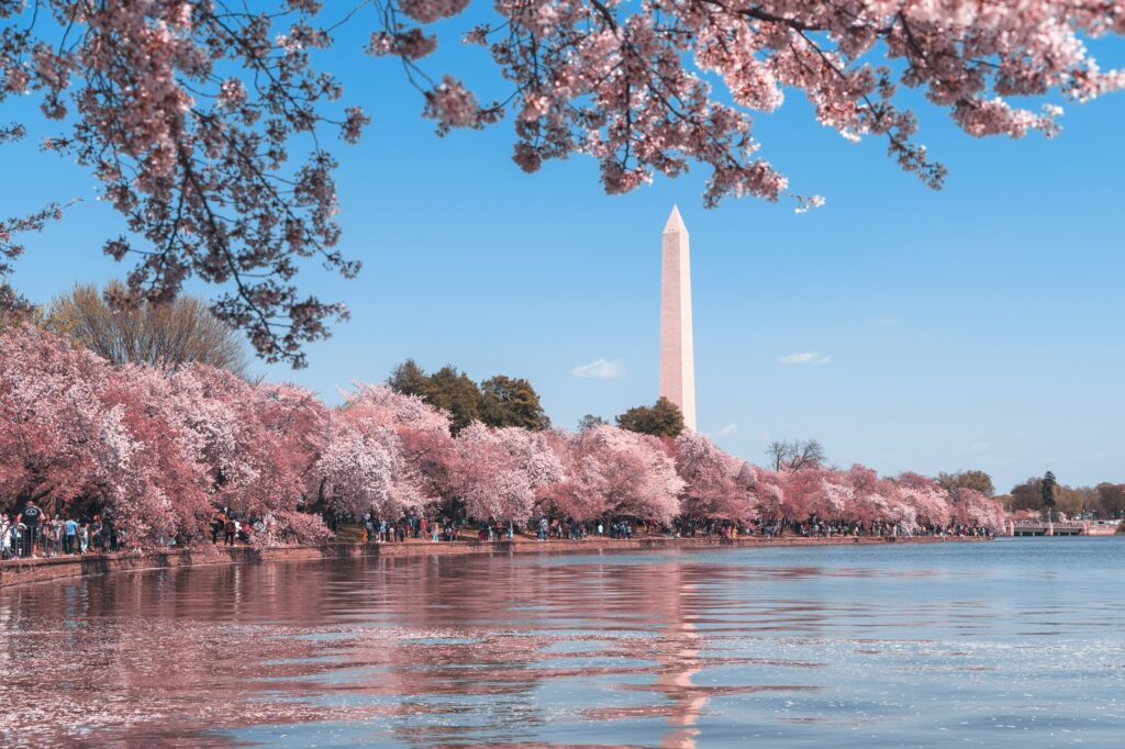 body of water near trees during daytime